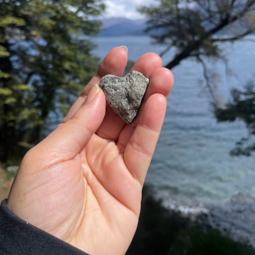 Transformación y naturaleza