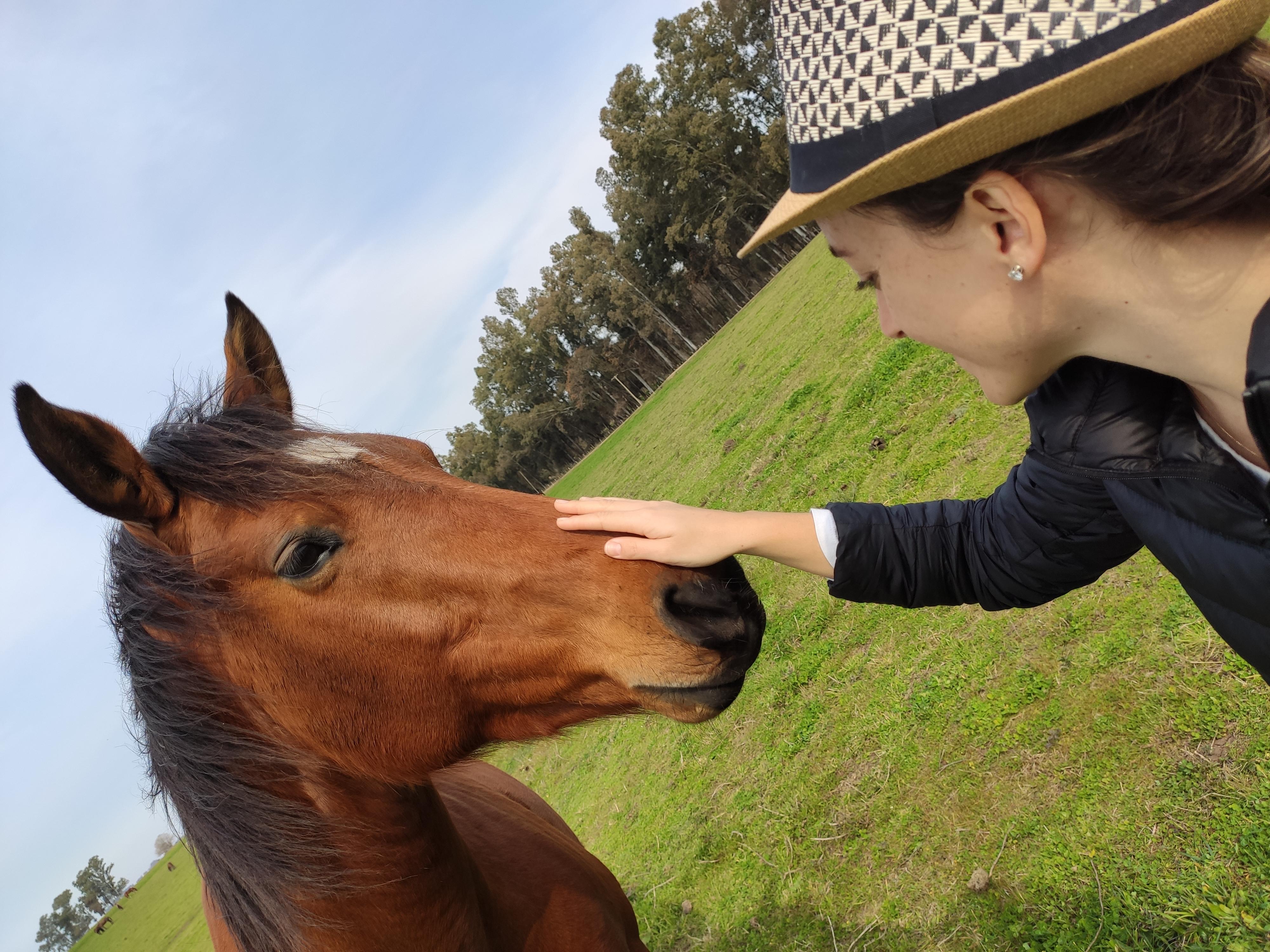 Laura Merlino - Terapeuta Transpersonal